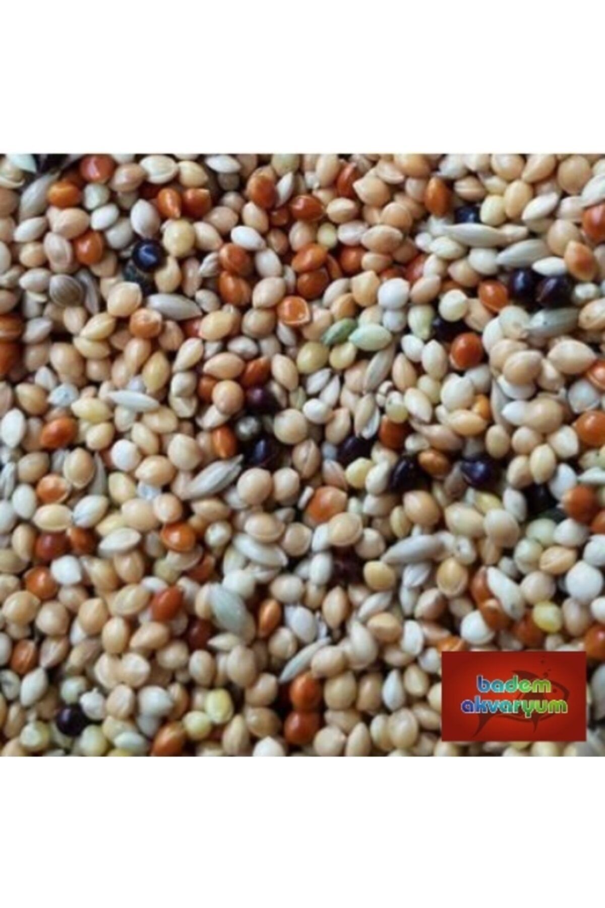 Badem Akvaryum Premium Karışık Muhabbet Kuşu Yemi 10 Kg Kaliteli