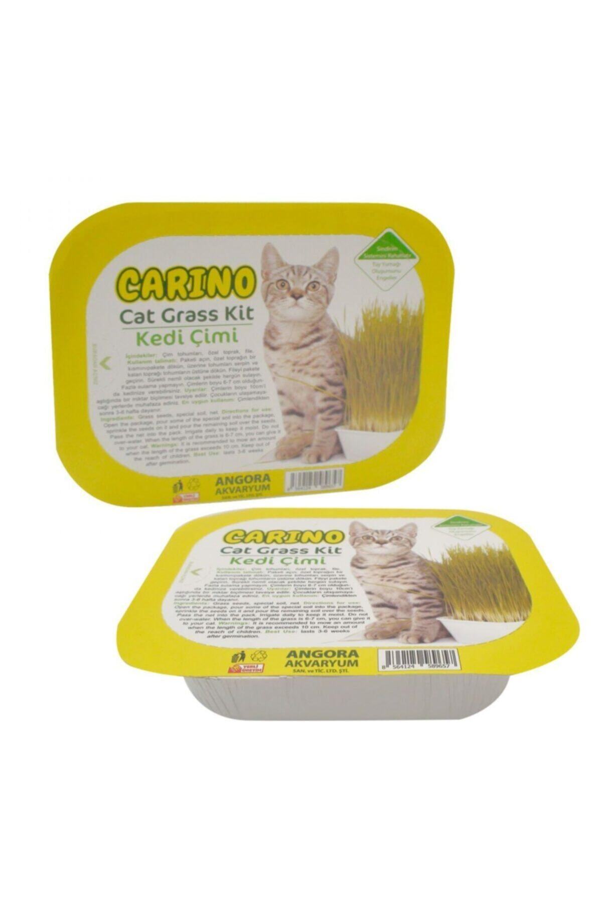 LACARINO Carino Gerçek Topraklı Kedi Çimi (Fileli)