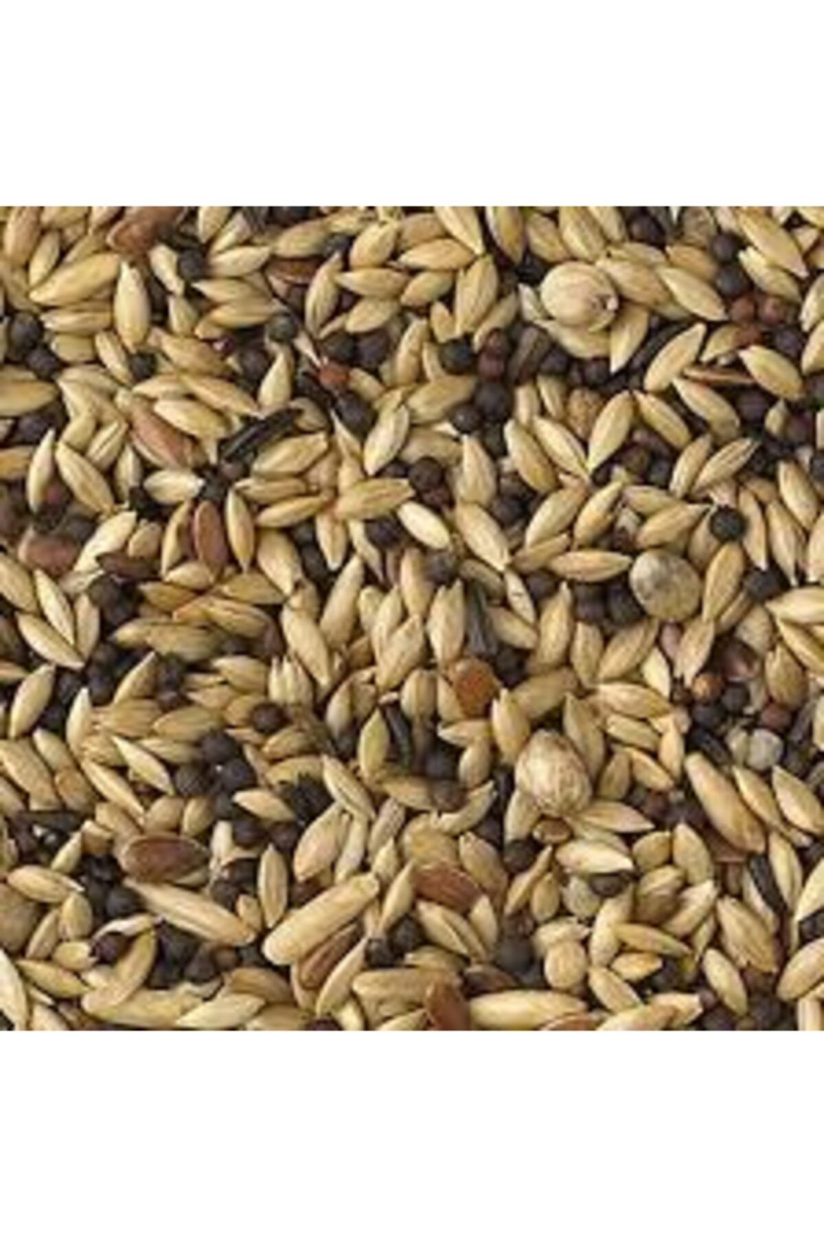 Akgün Tarım Karışık Kanarya Yemi 1 Kg