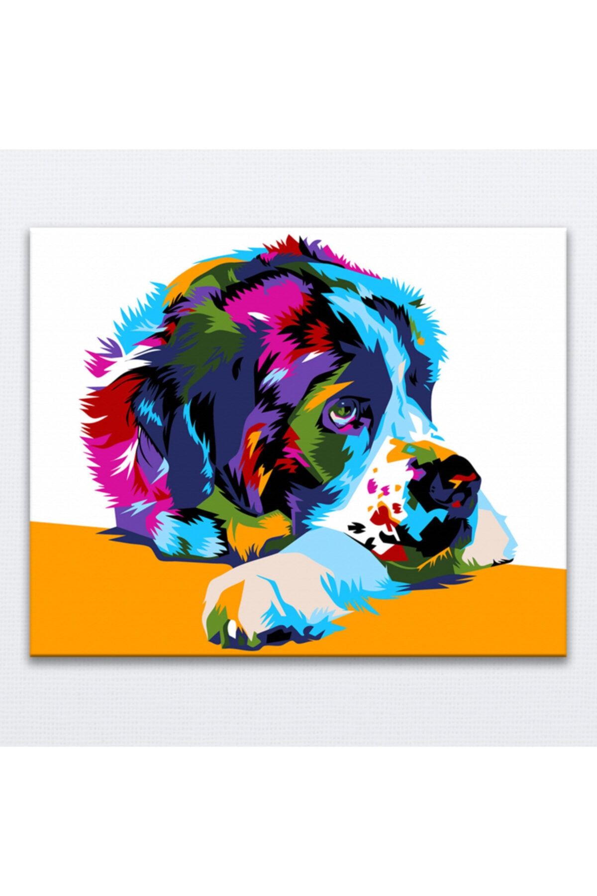 iRessam Numaralı Tuval Resim Boyama (40x50 Cm. Tuval) - Saint Bernard Renkli