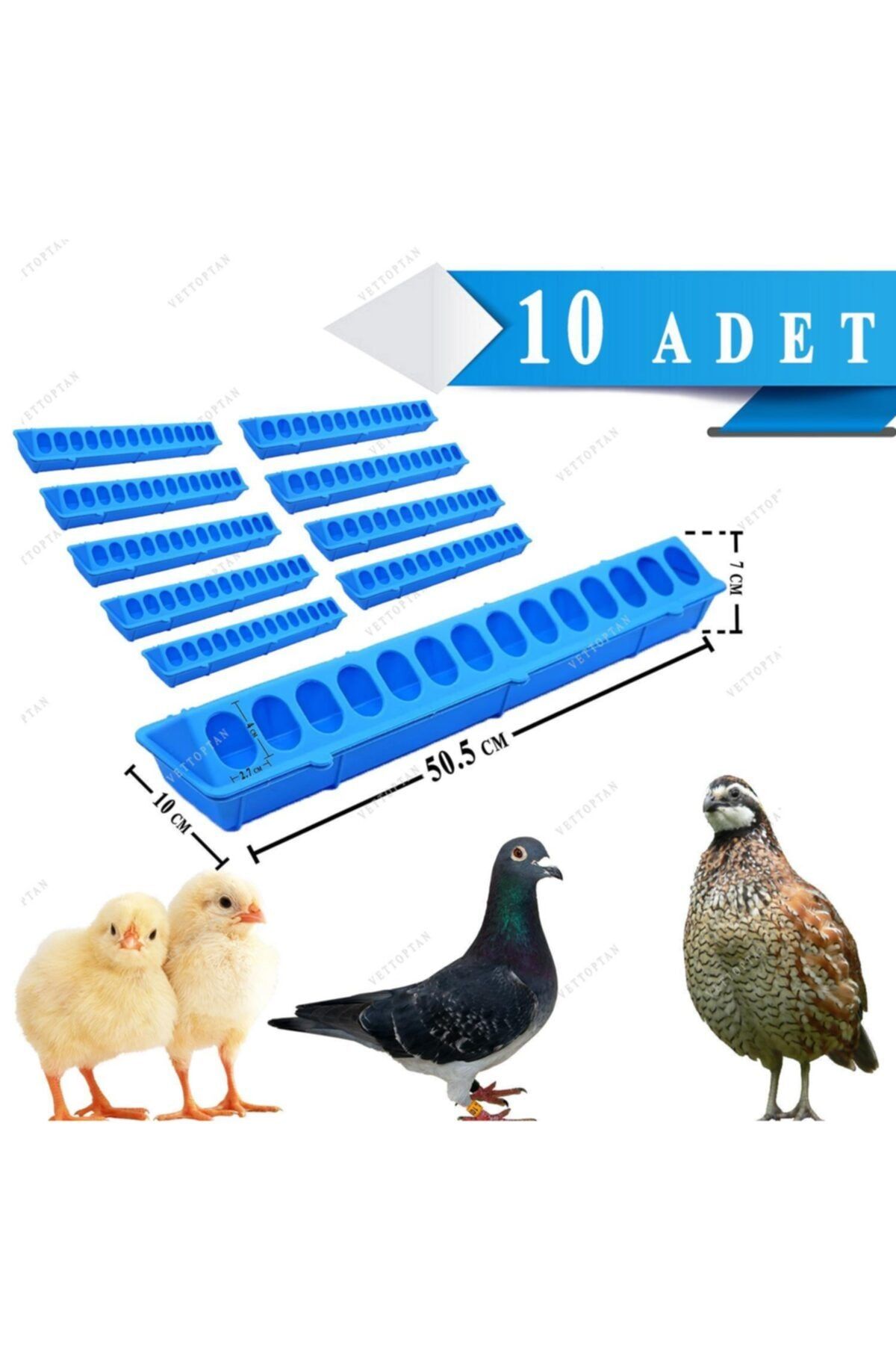 Endiket Civciv Bıldırcın Yemlik Keklik Tavuk Yemliği 50 Cm 10 Adet Plastik Sülün Hindi Ördek Kaz Yavruları