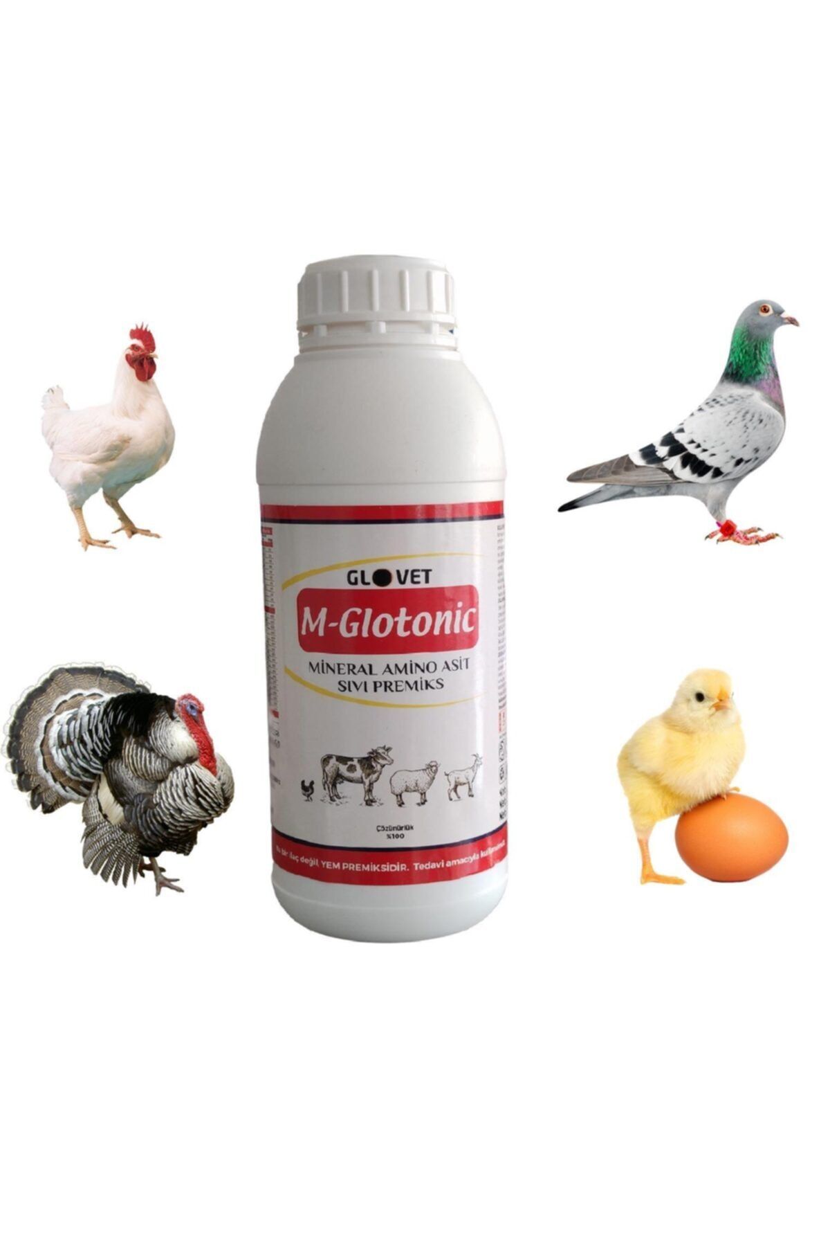 mutlu tavukçuluk M-glotonic Vitamin Mineral Premiks Kanatlı Kuş Büyükbaş Küçükbaş Koyun Keçi Inek Boğa Güvercin Tavuk