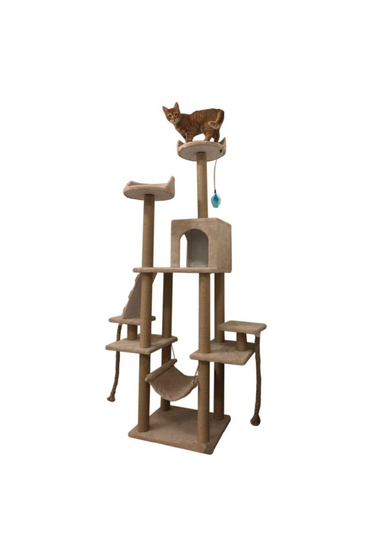PETHOME Çok Katlı Yuvalı Kedi Tırmalama Ve Oyun Platformu