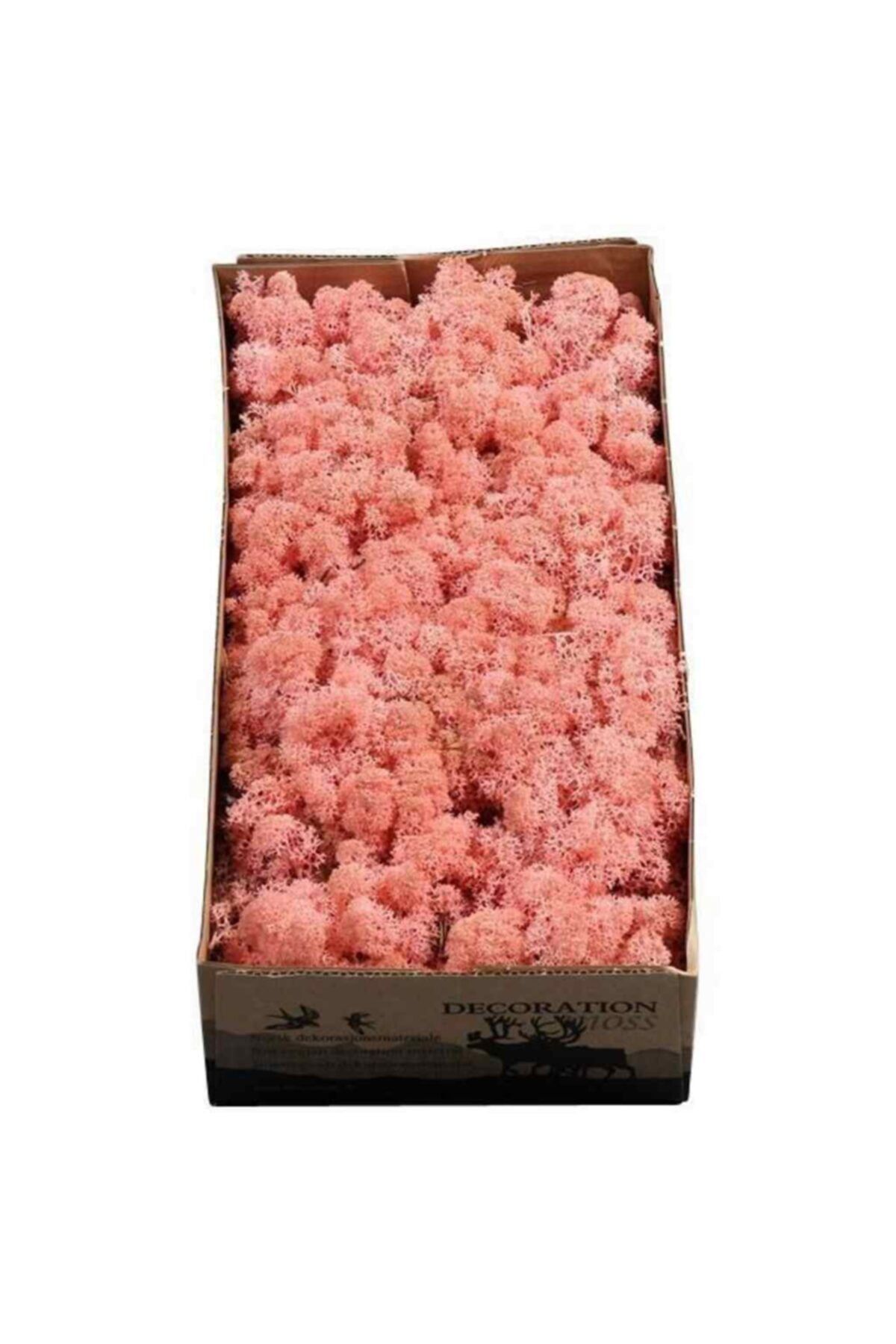 Minikbahcem Pastel Pembe Şoklanmış Izlanda Reindermoss Teraryum Yosunu Sphangum 30 Gr