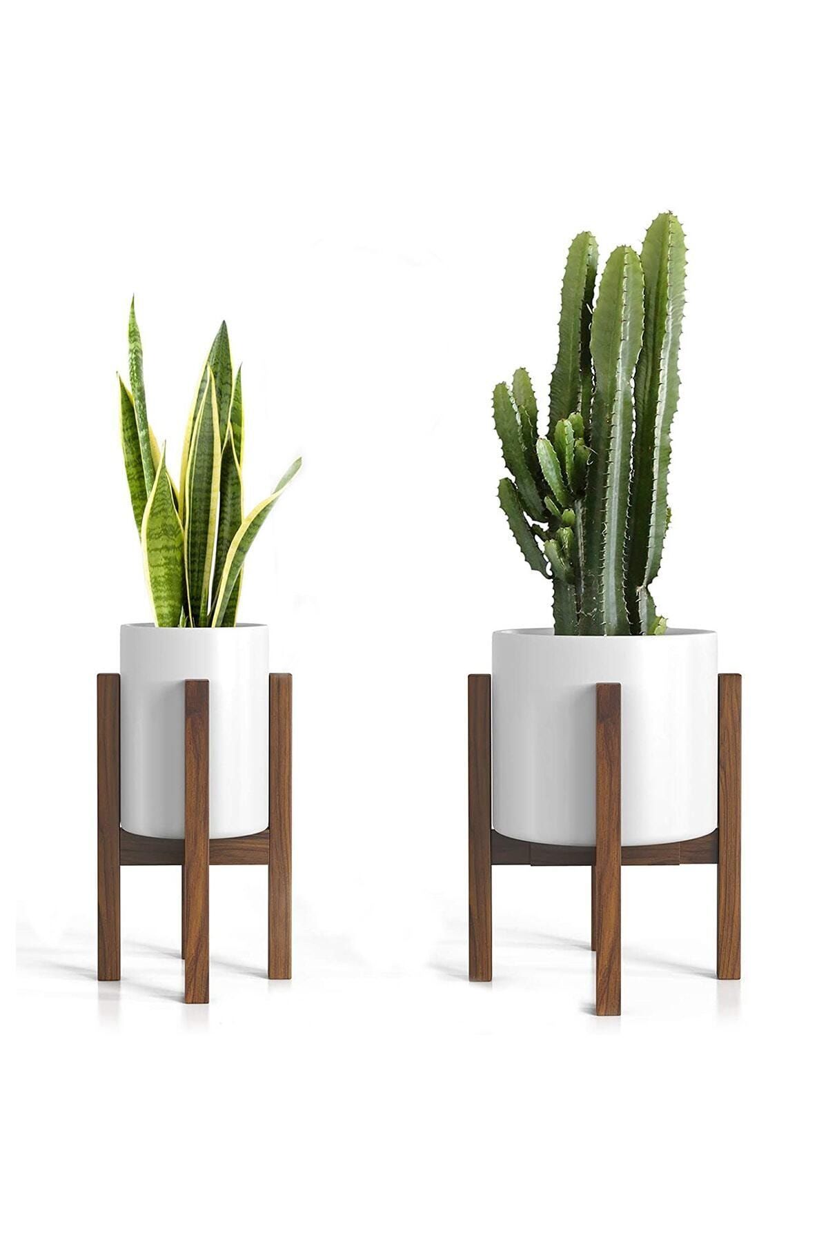 FD CONCEPT Bien Wood Saksılık Ahşap Çiçeklik 2'li Set Wdn216
