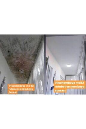 Ms 82 Nem Boyası 1 Kg Image 4