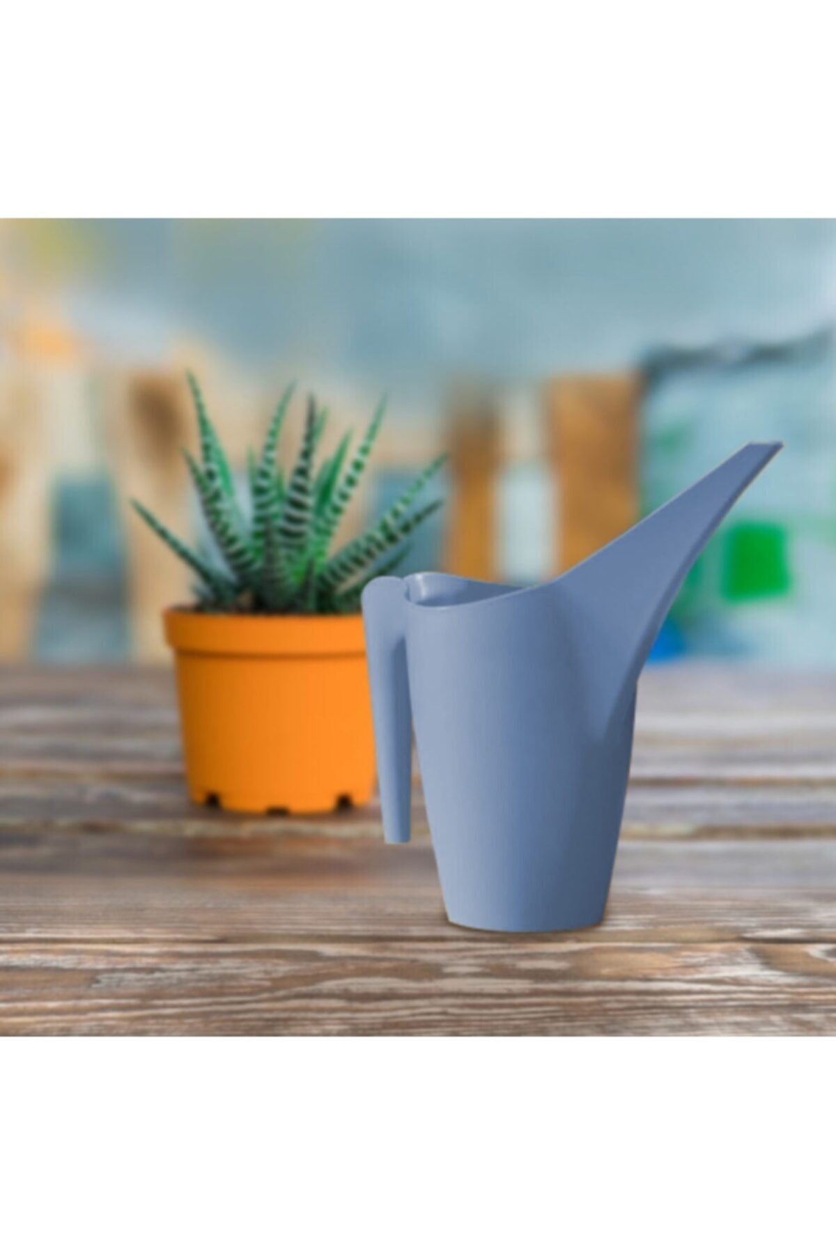 PAYATASARIM Sukulent Kaktüs Bitki Sulama Kabı Mavi