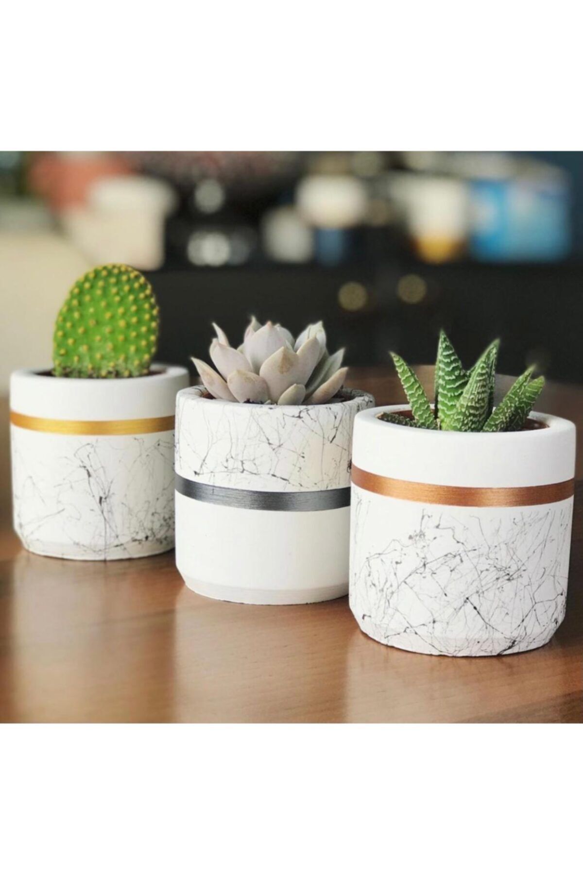 Big Craft Mermer Desen Silindir,geometrik Beton Saksılık Kaktüs Ve Sukulentlik 3'lü Set