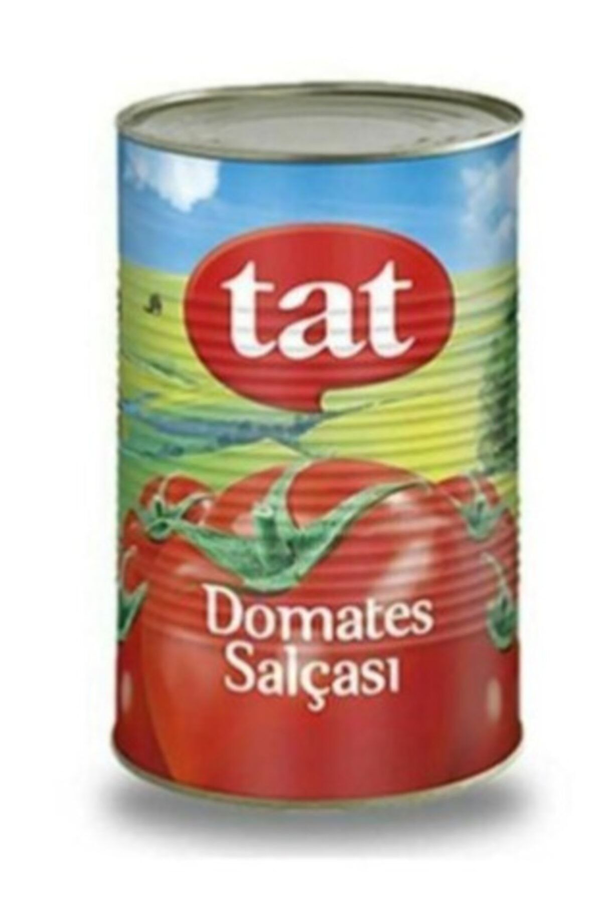 Tat Domates Salçası 4300 gr