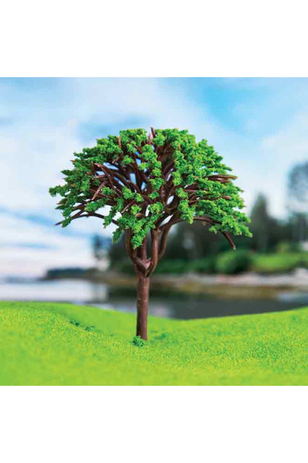 Eshel Ezhel 2,5 Cm. 7'li Mantar Ağacı