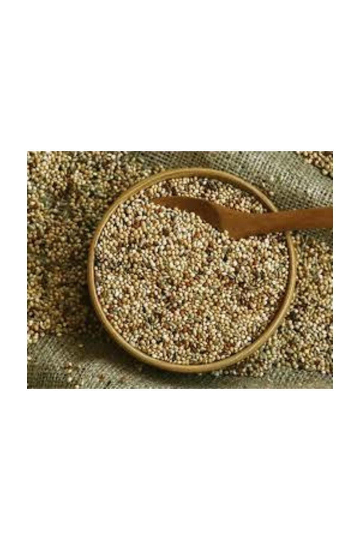 Jungle Muhabbet Kuşu Yemi 3 Kg. Karışık