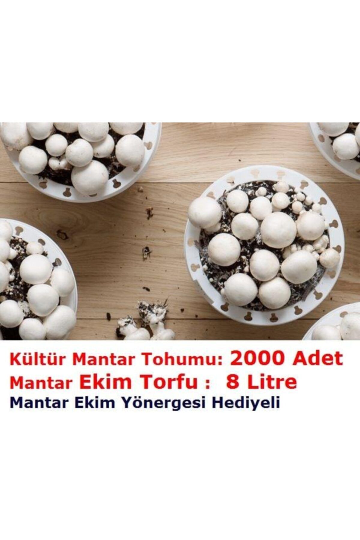 TohumGübre 2000 Adet Beyaz Şapkalı Kültür Mantarı Tohumu + 8 Litre Mantar Ekim Torfu Ve Mantar Ekim Yönergesi