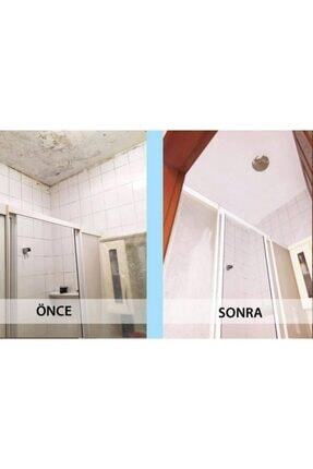 Ms 82 Nem Boyası 1 Kg Image 2