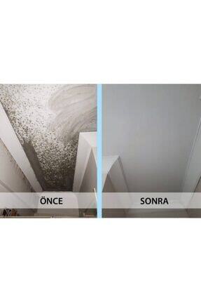 Ms 82 Nem Boyası 1 Kg Image 3