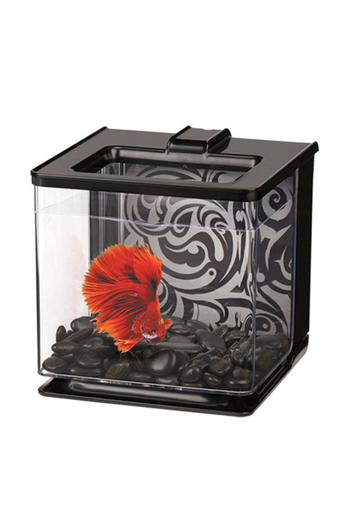 Marina Beta Seti Ez Care Aqua Siyah 2,5 Litre 15x16,5x16 Cm