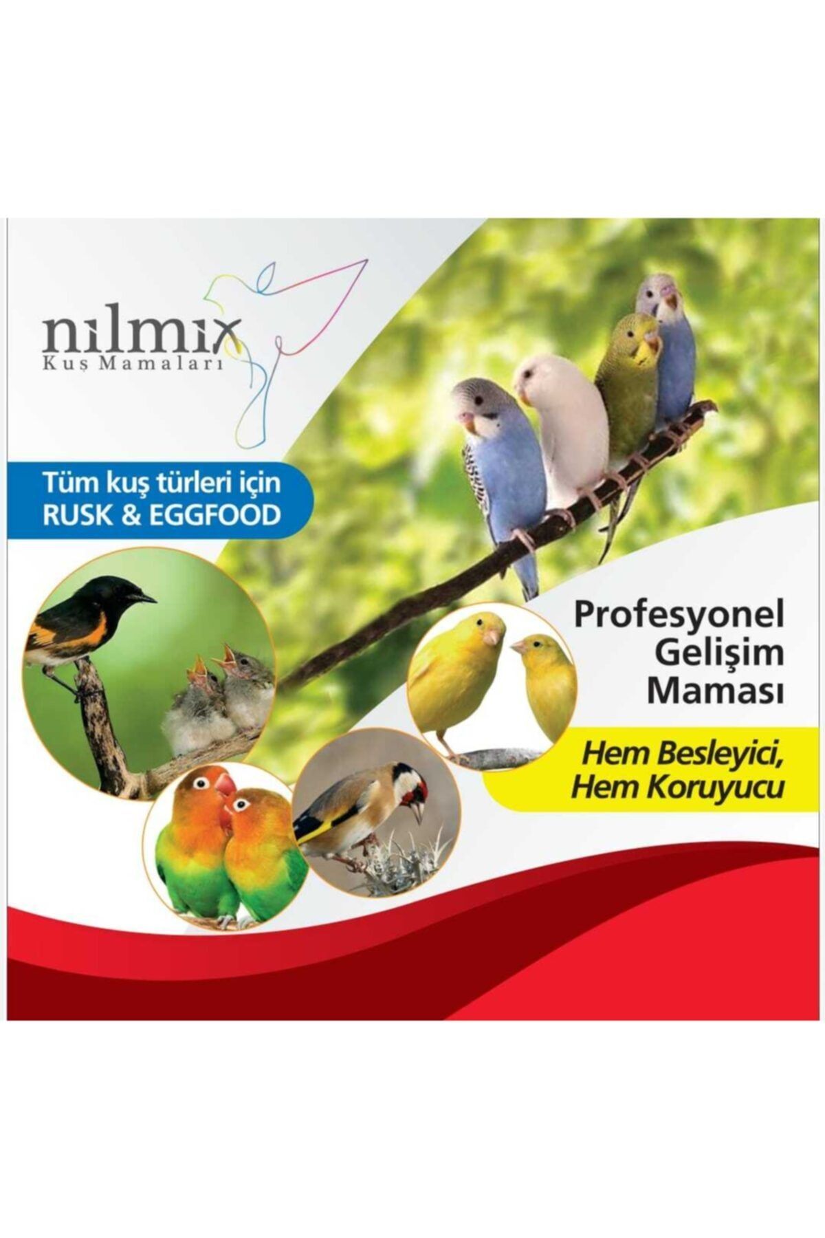 NİLMİX Kuş Mamaları 1 Kg