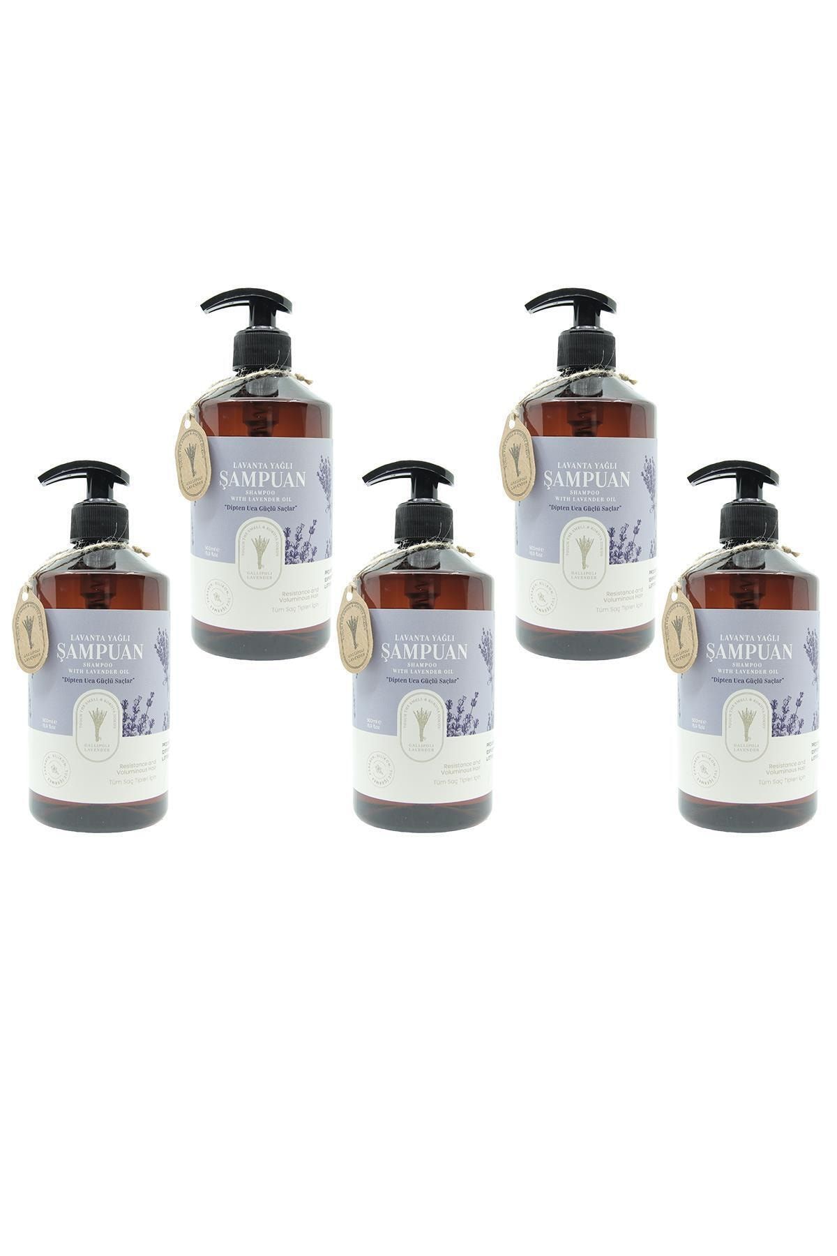 Gallipoli Lavender Lavanta Yağlı Şampuan 500 ml 5 Adet