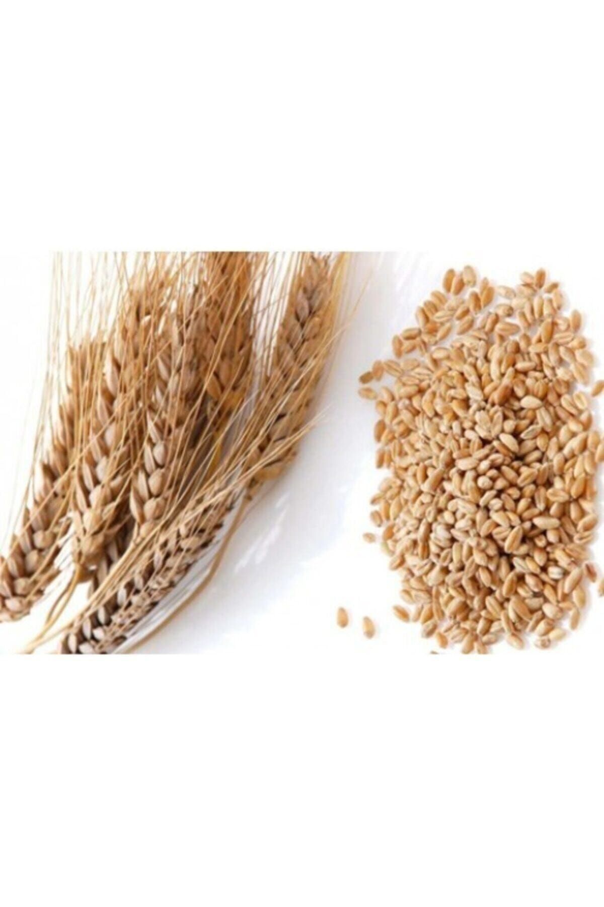 Ali Ünyazıcı Buğday Aşurelik Açık 1000 Gr