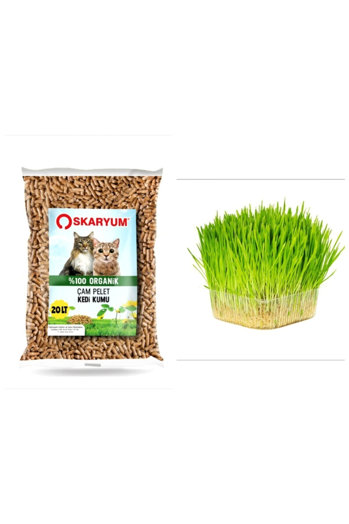 OSKARYUM Çam Pelet Kedi Kumu 20 Lt + Kedi Çimi Tohumu 1000 Adet