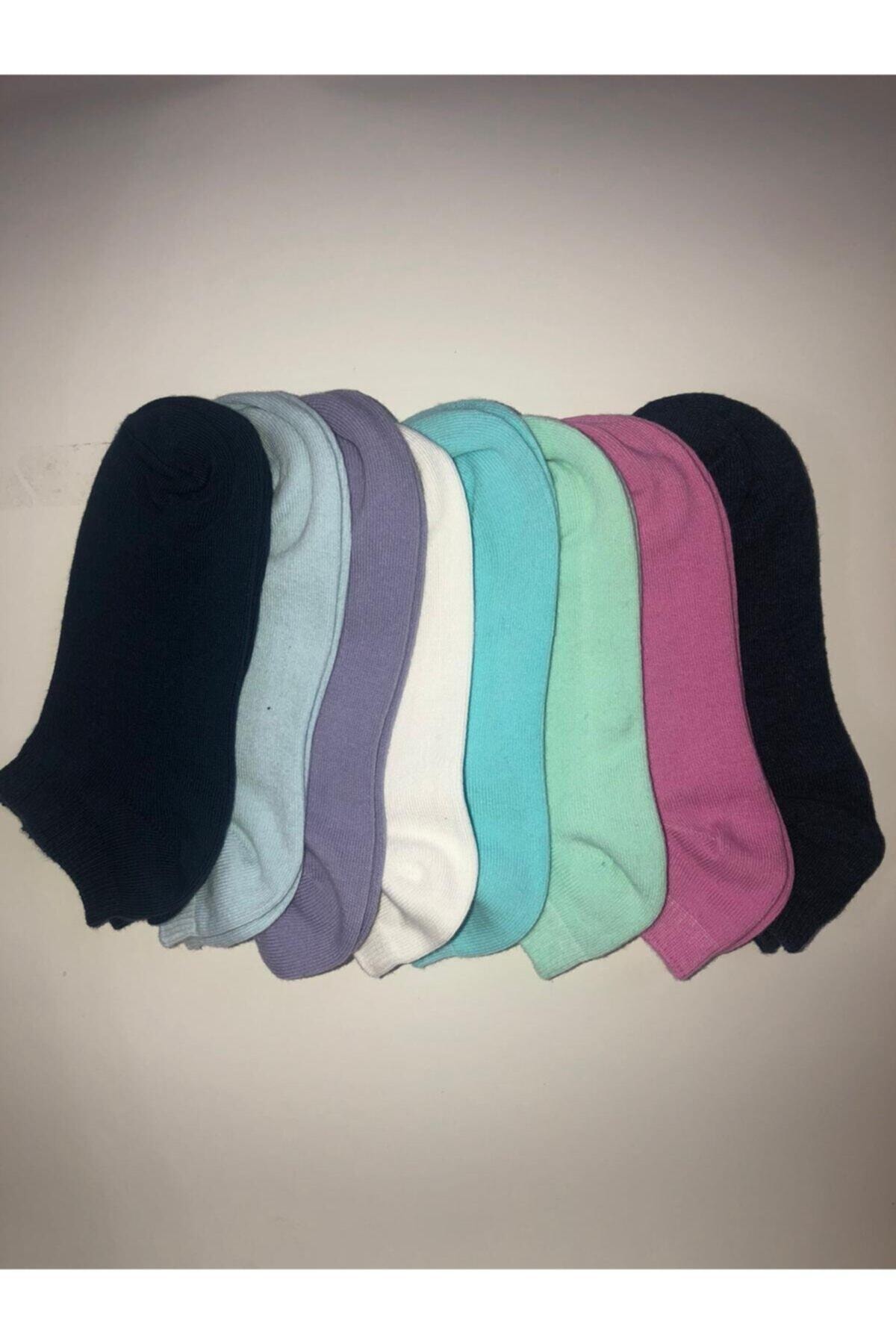 Ozzy Socks 8'li Pamuklu Renkli Kadın Patik
