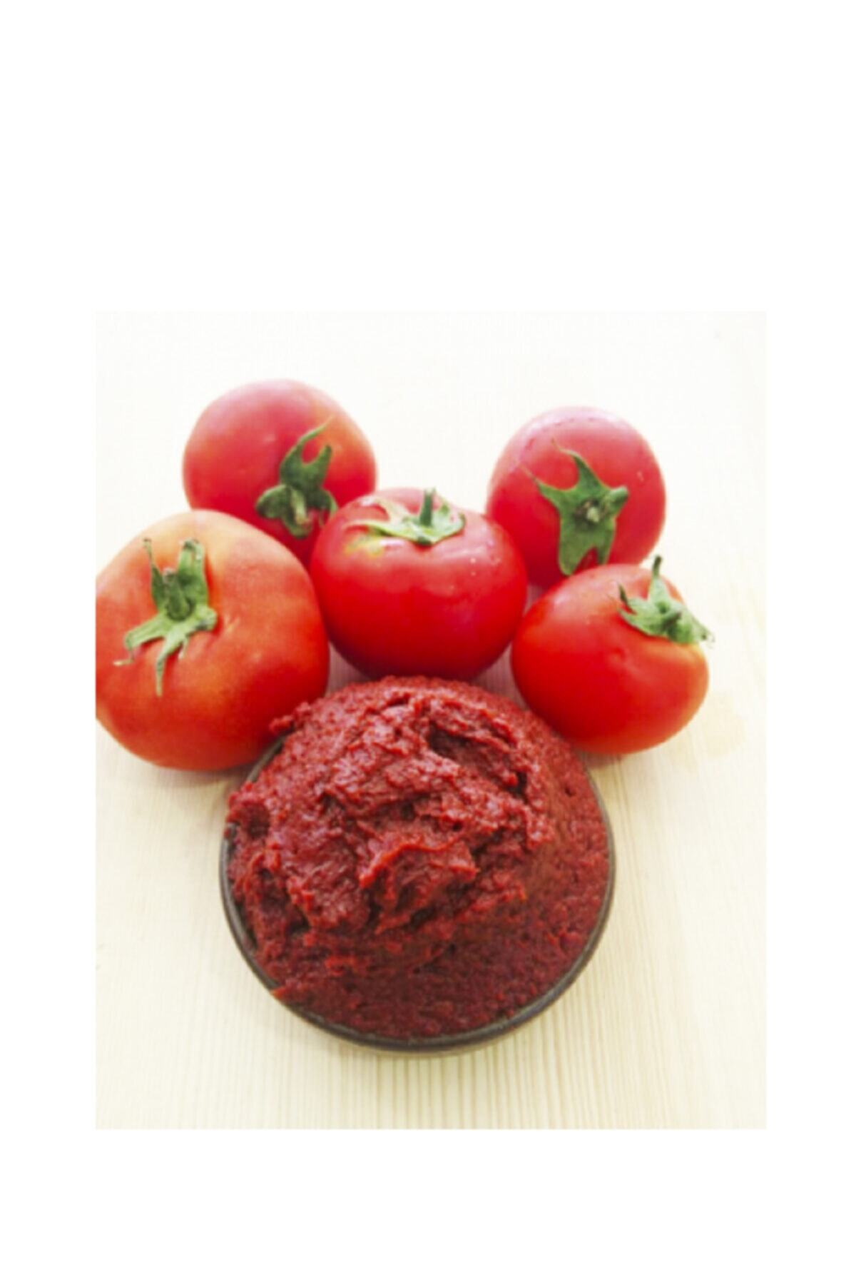 Konaç Gıda Domates Salçası 1 kg
