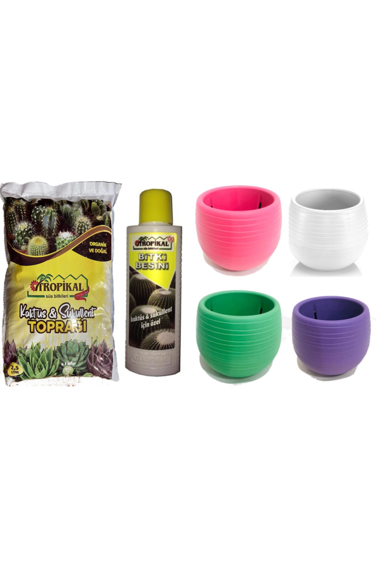 gül çiçek sarayı Kaktüs Sukulent Toprağı 2,5 Lt. Kaktüs Vitamini, Kaktüs Saksıları,