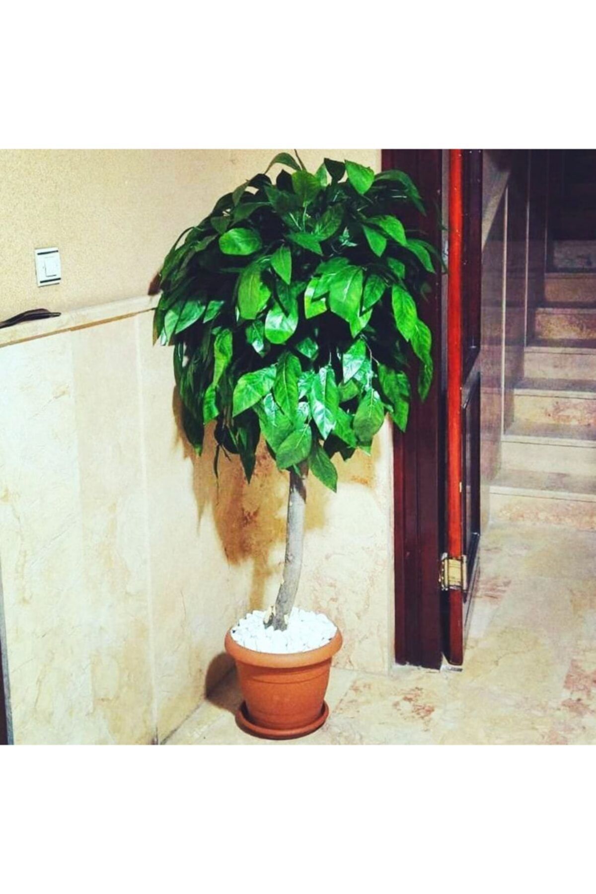Bambu Yapay Ceviz Ağacı Yeşil Yapraklı Ağaç Çiçek Bitki Gövde Yapay Yaprak Kök Toprak Saksı Dekor