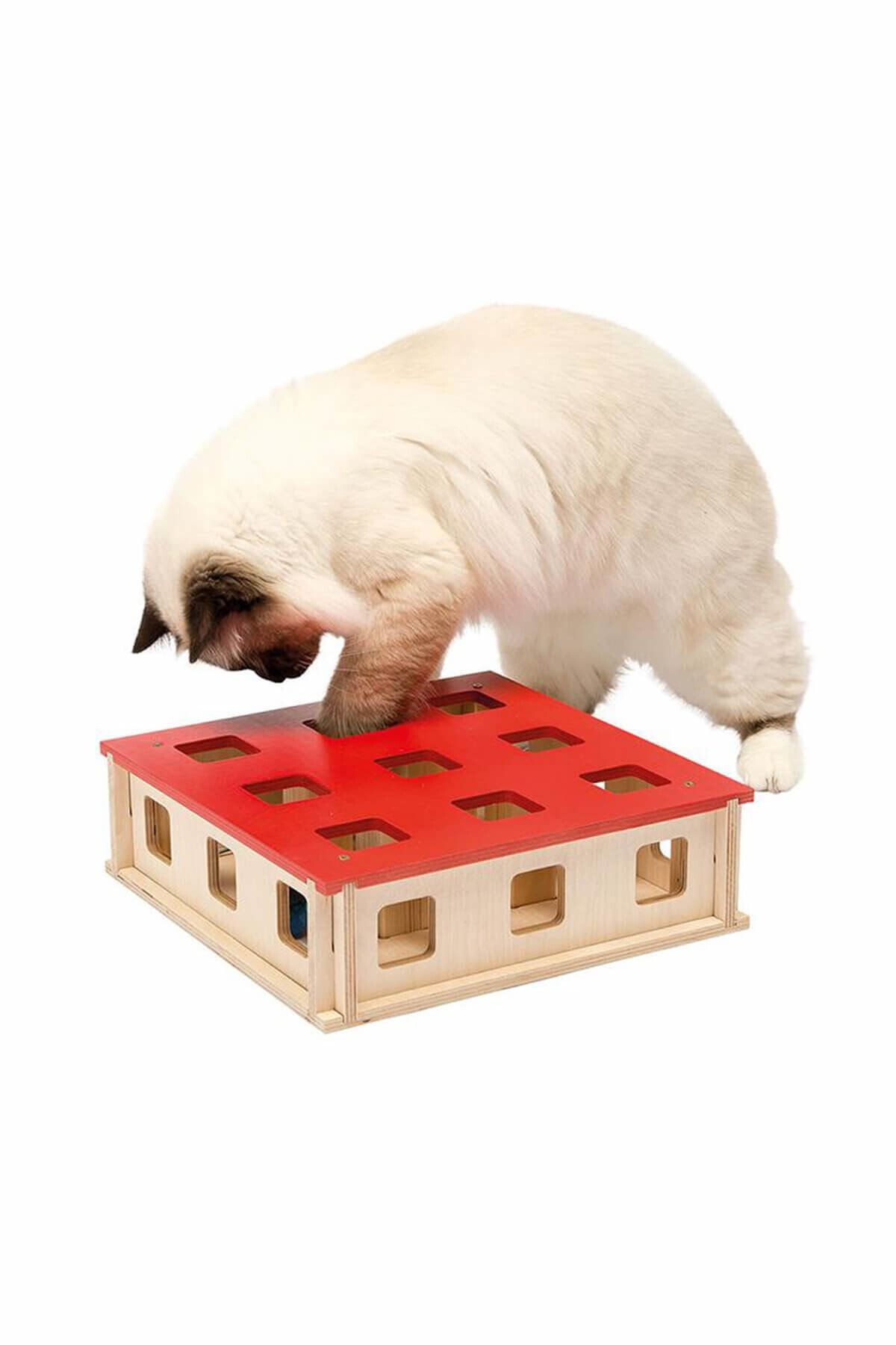 Ferplast Sihirli Kutu Kedi Oyun Kutusu
