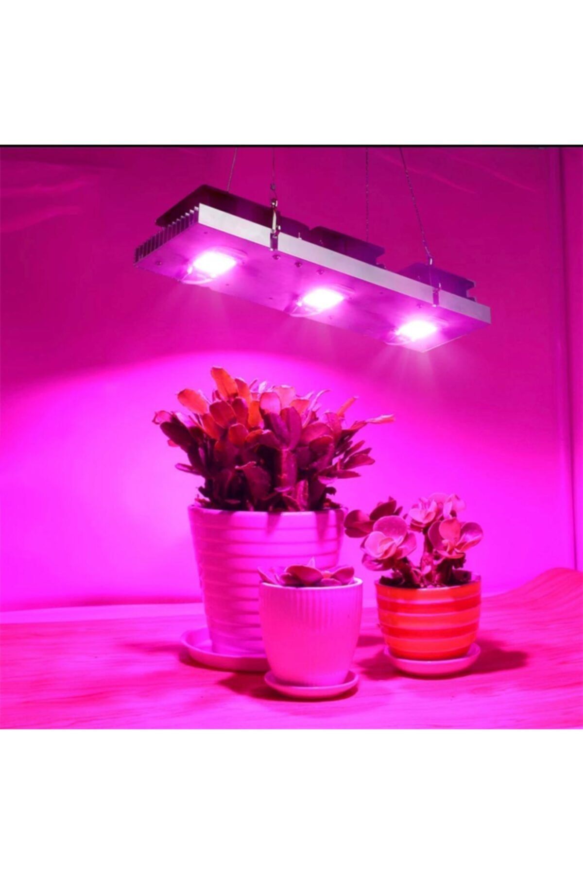 yxo led bitki yetistirme lambasi 150w full spectrum tum donem 18 000 lumen fiyati yorumlari trendyol