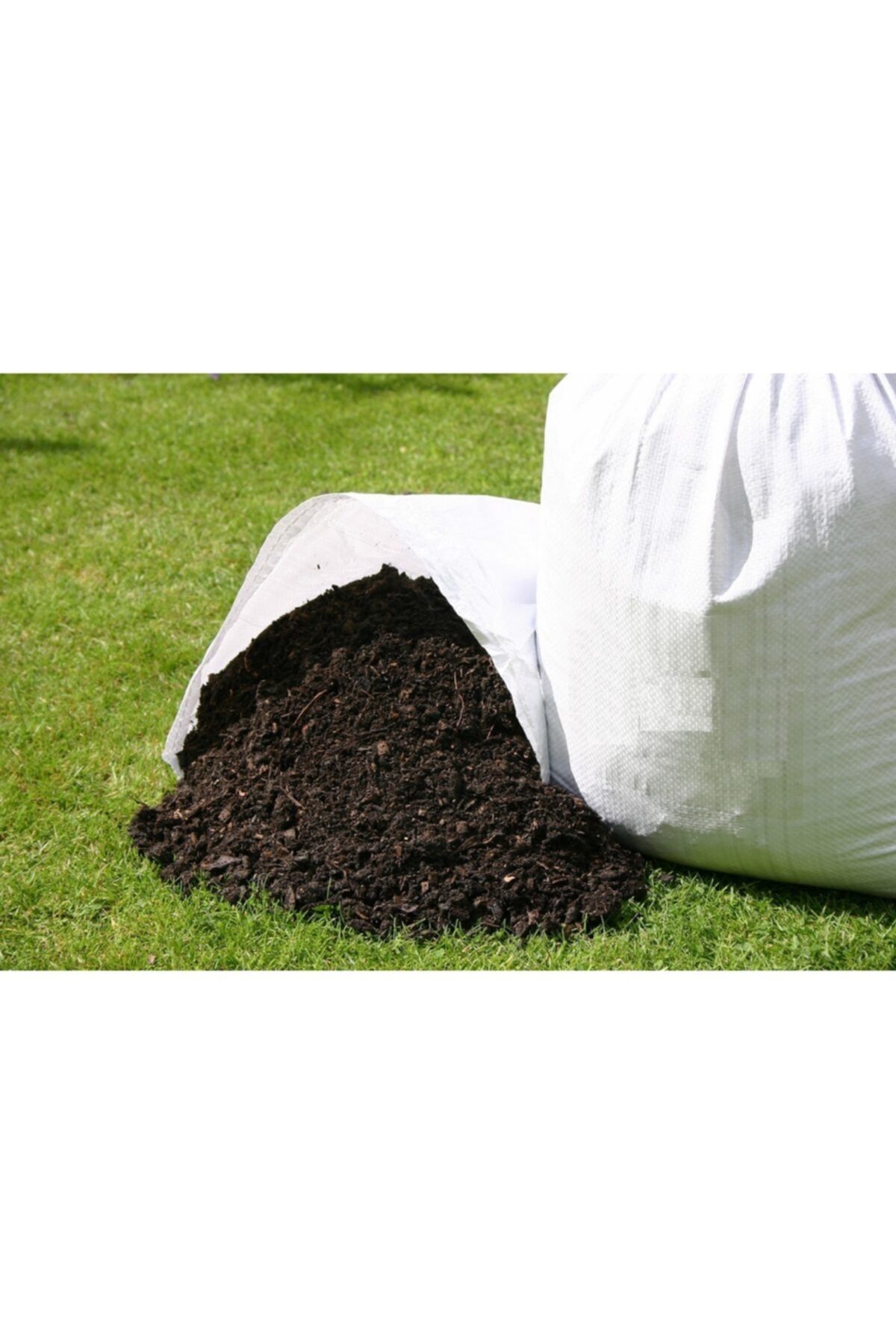 Asenya Çim Kapak Toprağı 10 lt 5 kg Gübreli Toprak Çim Ekim Toprağı Çim Örtü Toprağı