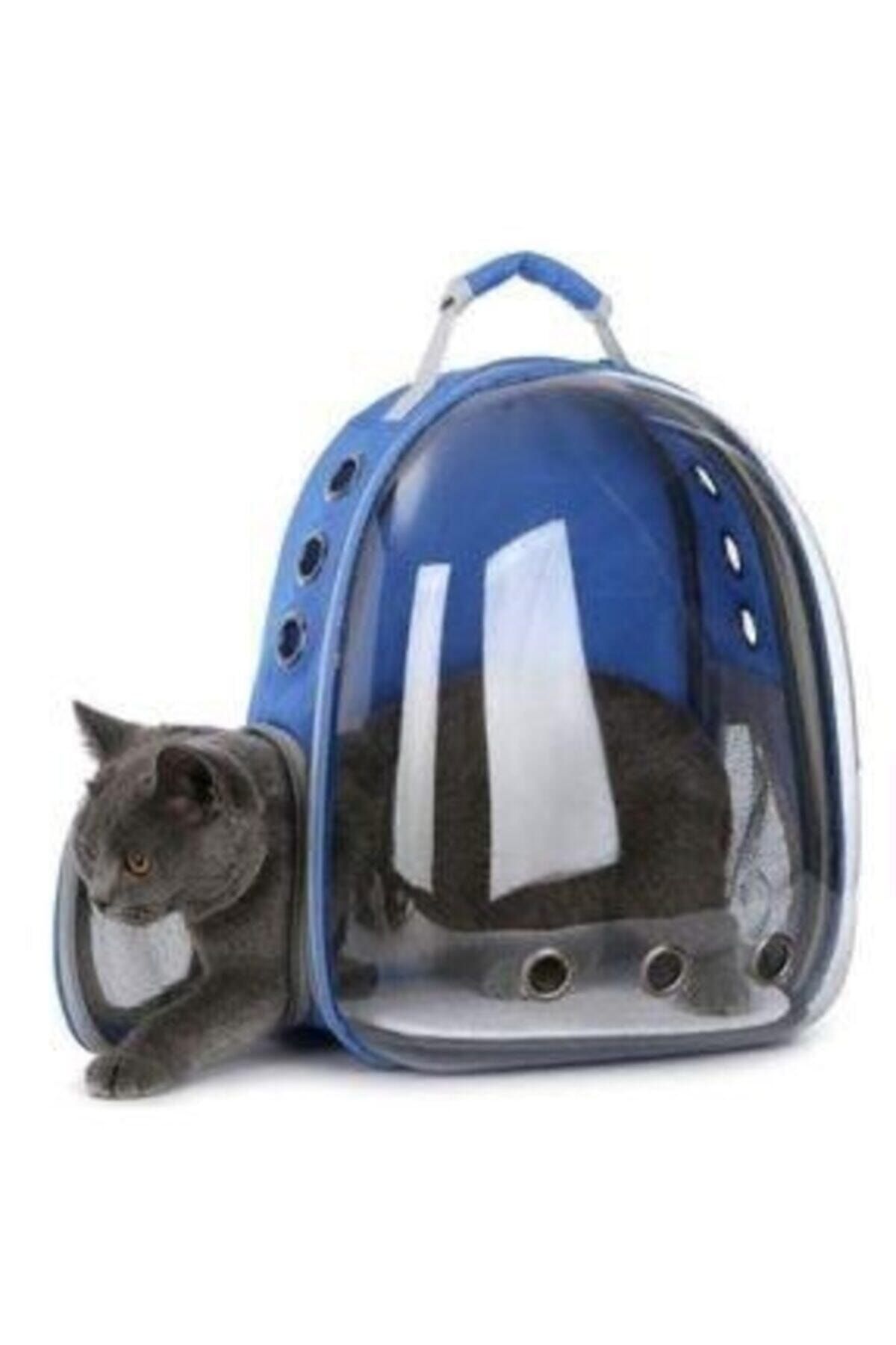 Ankaflex Mavi Renk Şeffaf Astronot Kapsül Model Kedi Köpek Taşıma Seyahat Çantası Sırt Çantası