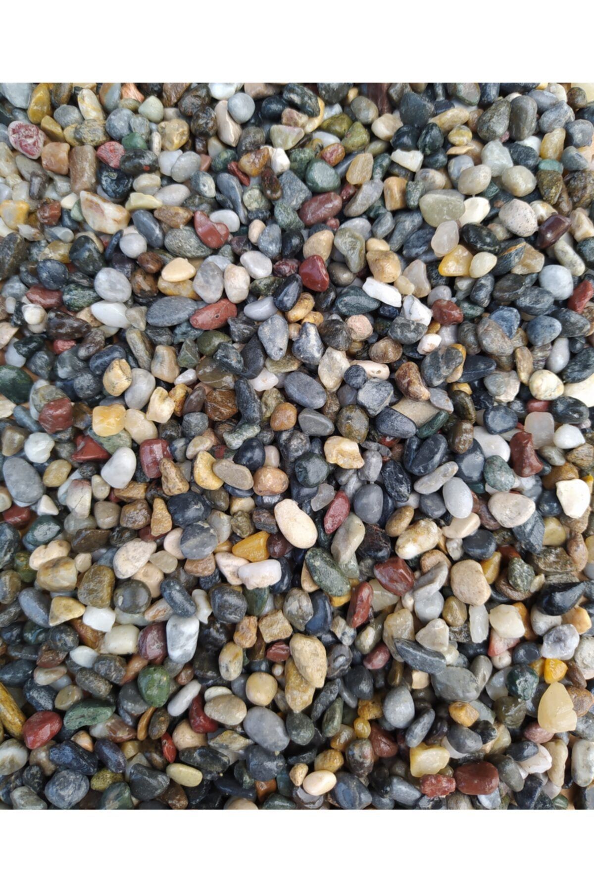 WODDY Doğal Dere Çakılı 1 Kg