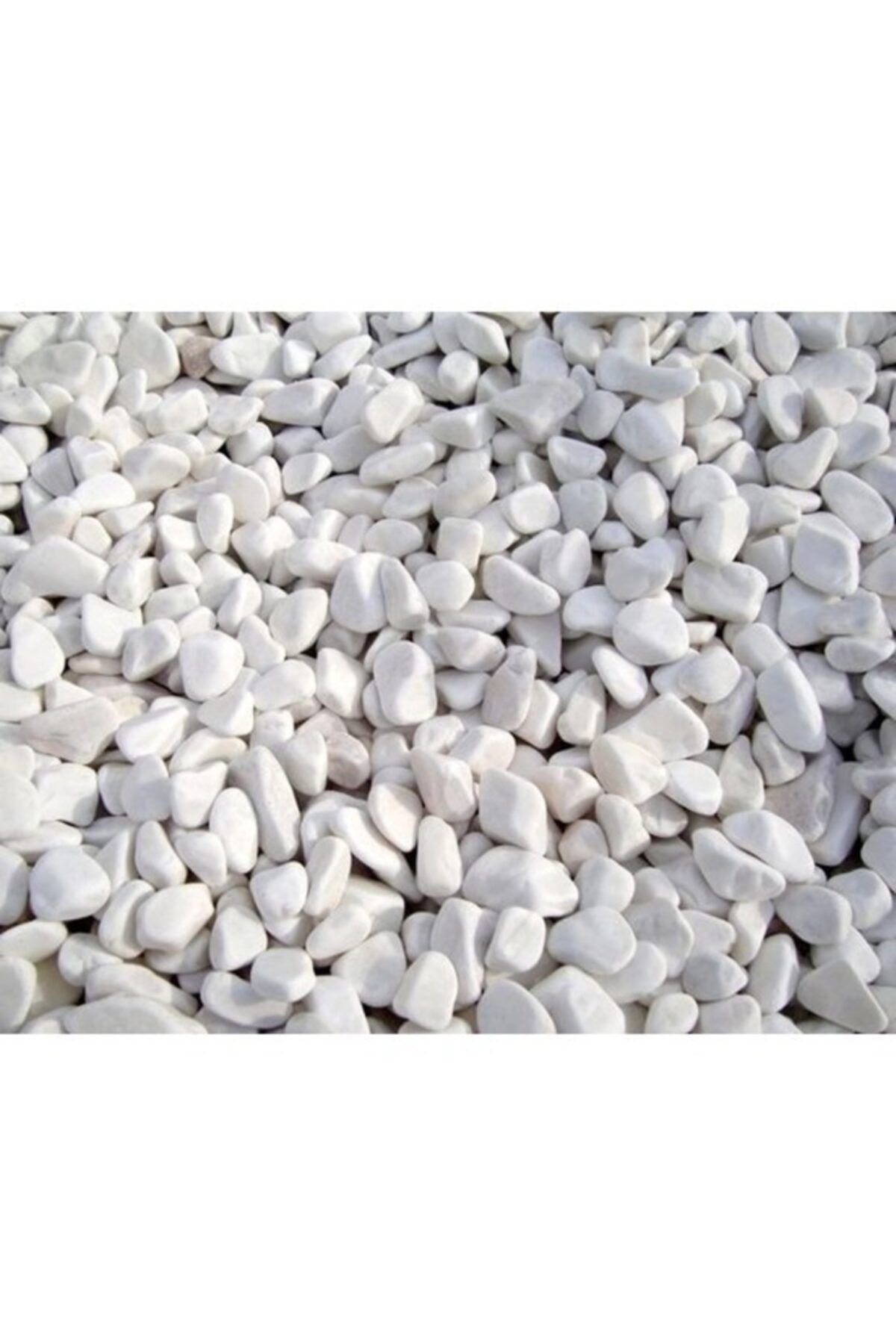 WODDY Beyaz Akvaryum Çakılı 1 Kg