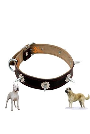 civil kopek tasmasi modelleri fiyatlari trendyol