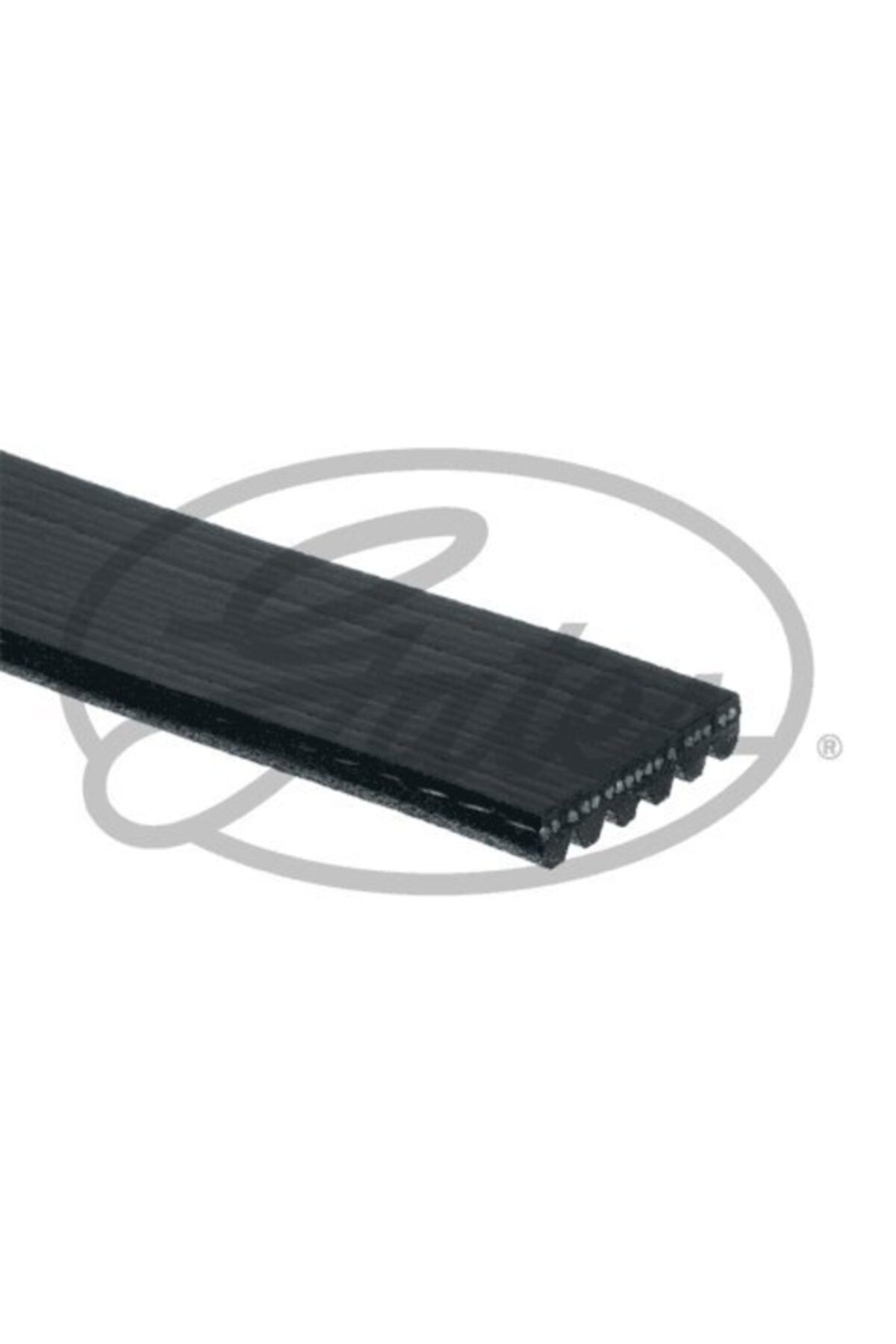 GATES Kanallı Kayıs Astra Corsa Vectra Ac Sız Vw Audı Renault 68402