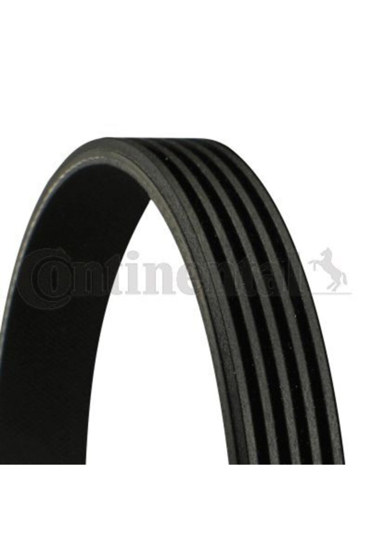 CONTITECH Kanallı V Kayısı W169 04  W245 05 