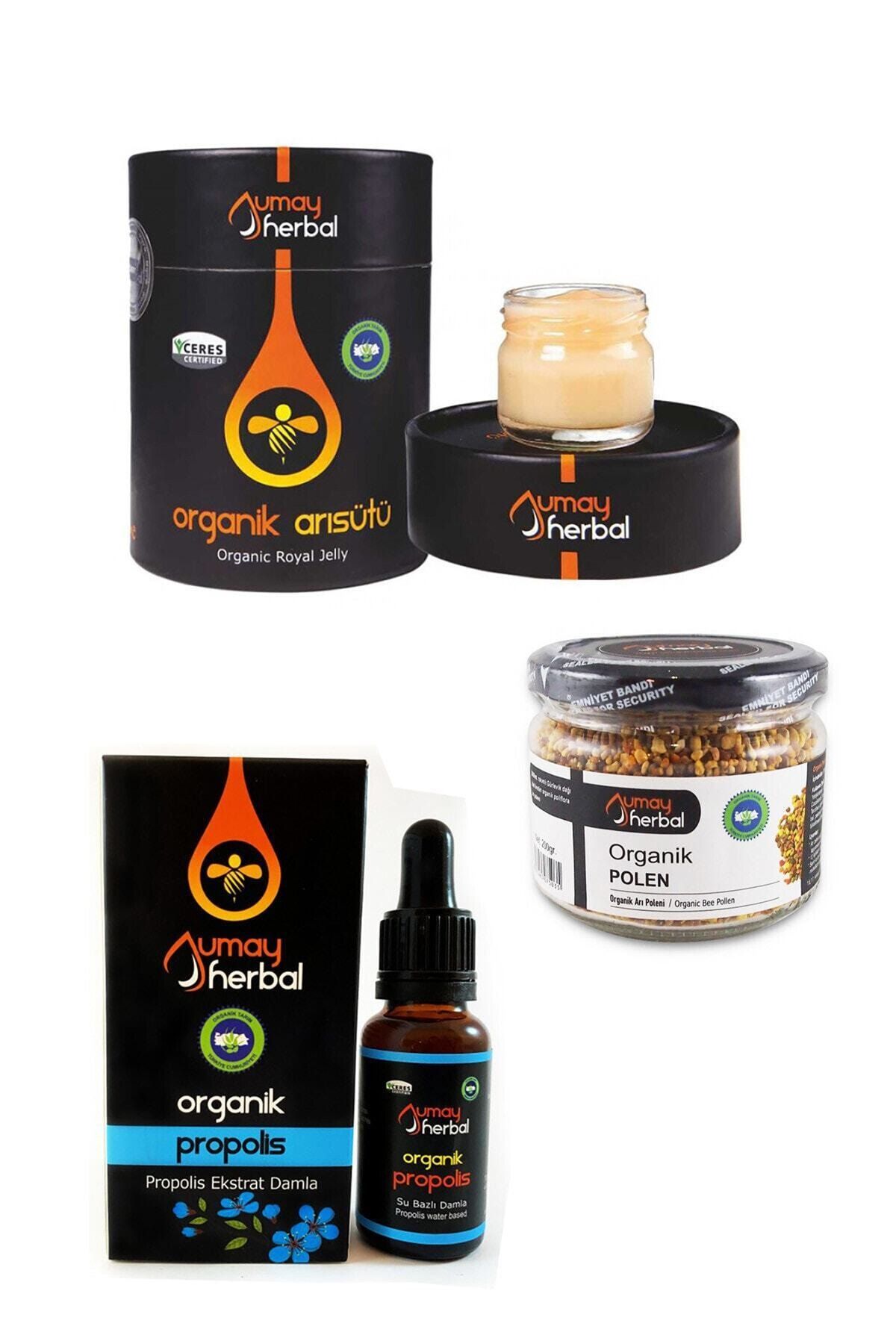 Umay Herbal Organik Arısütü (30 gr) + Organik Su Bazlı Propolis (20 ml) + Organik Polen (200 gr)