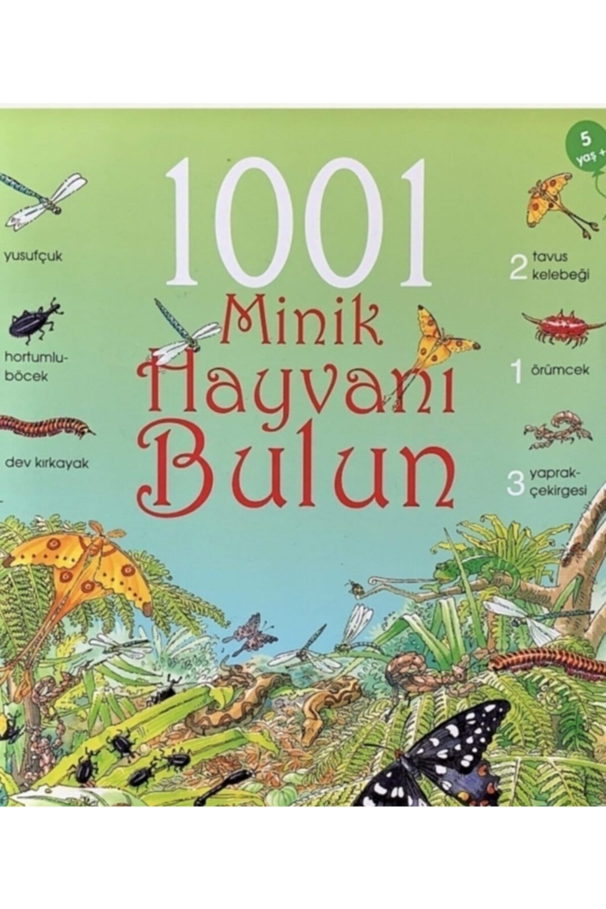 tubitak yayinlari 1001 minik hayvani bulun fiyati yorumlari trendyol