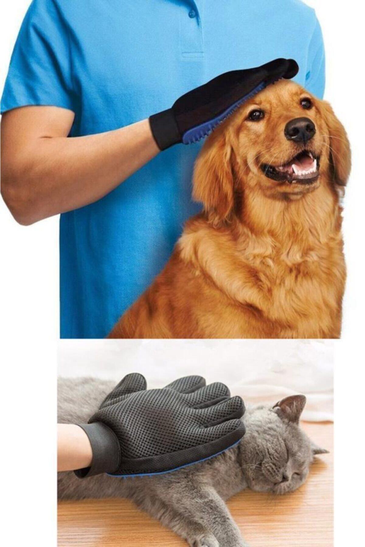 Wmoloxs Kedi Köpek Tüy Toplayıcı Kaşıma Yıkama Ve Banyo Eldiveni Evcil Hayvan Pet Glove Tarama Fırça