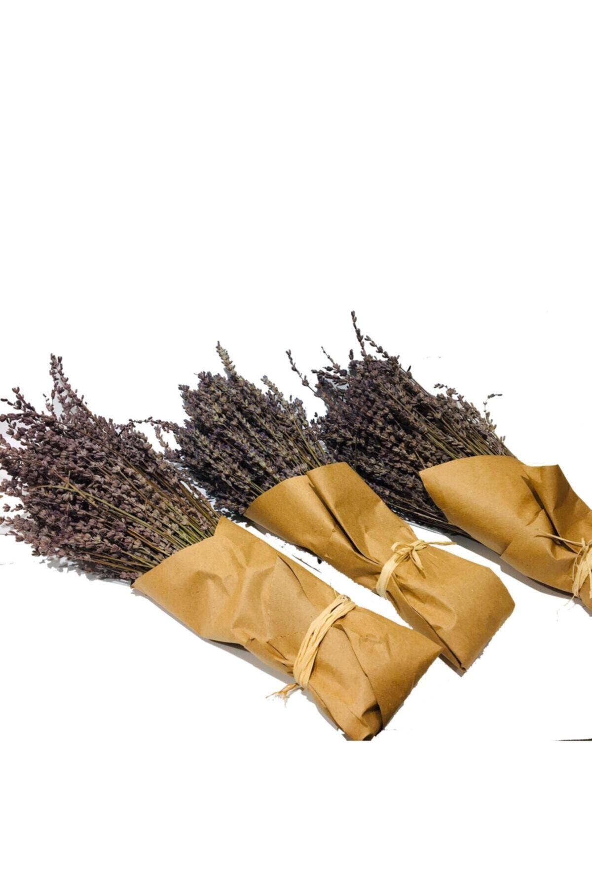 İpek Naturel Ipek Naturel Gerçek Kuru Isparta Lavanta Demeti 3'lü