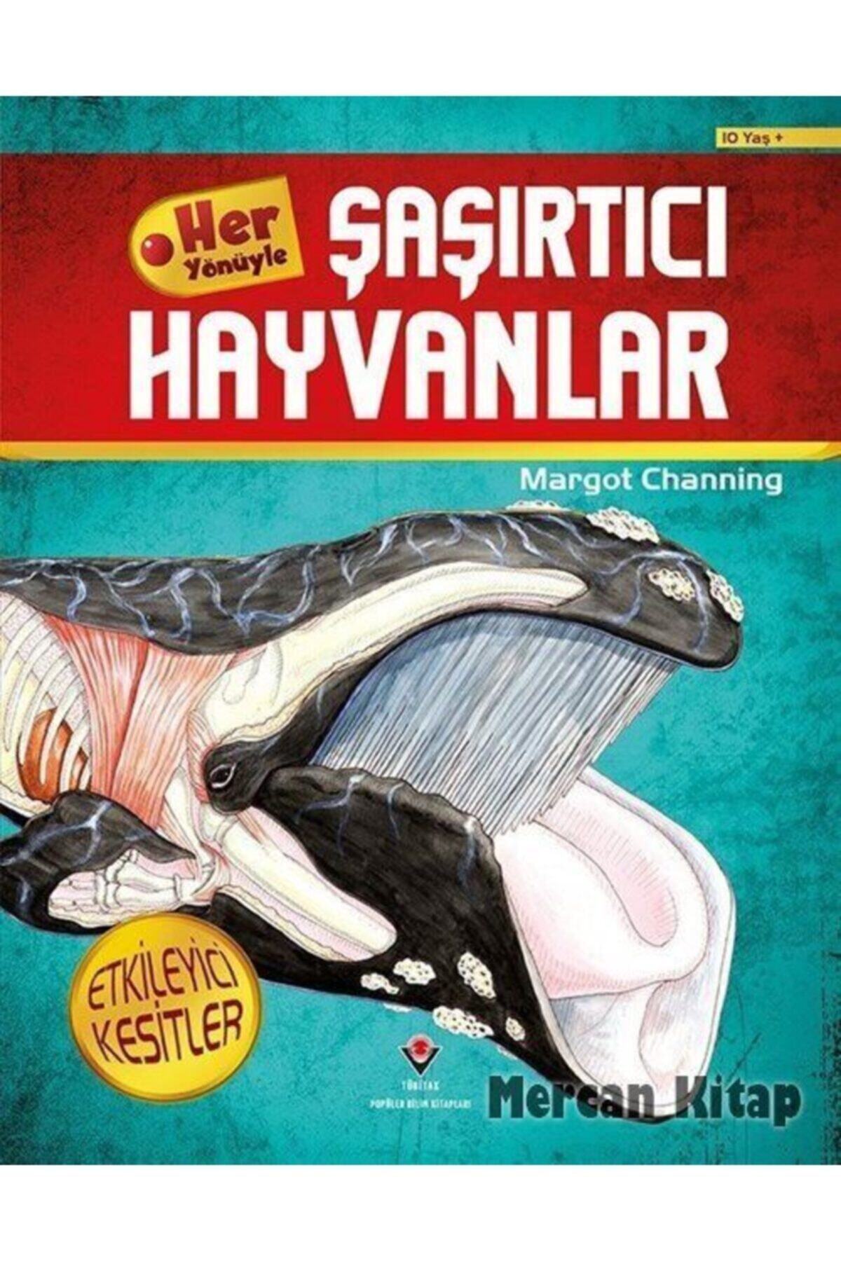 Tübitak Yayınları Her Yönüyle Şaşırtıcı Hayvanlar