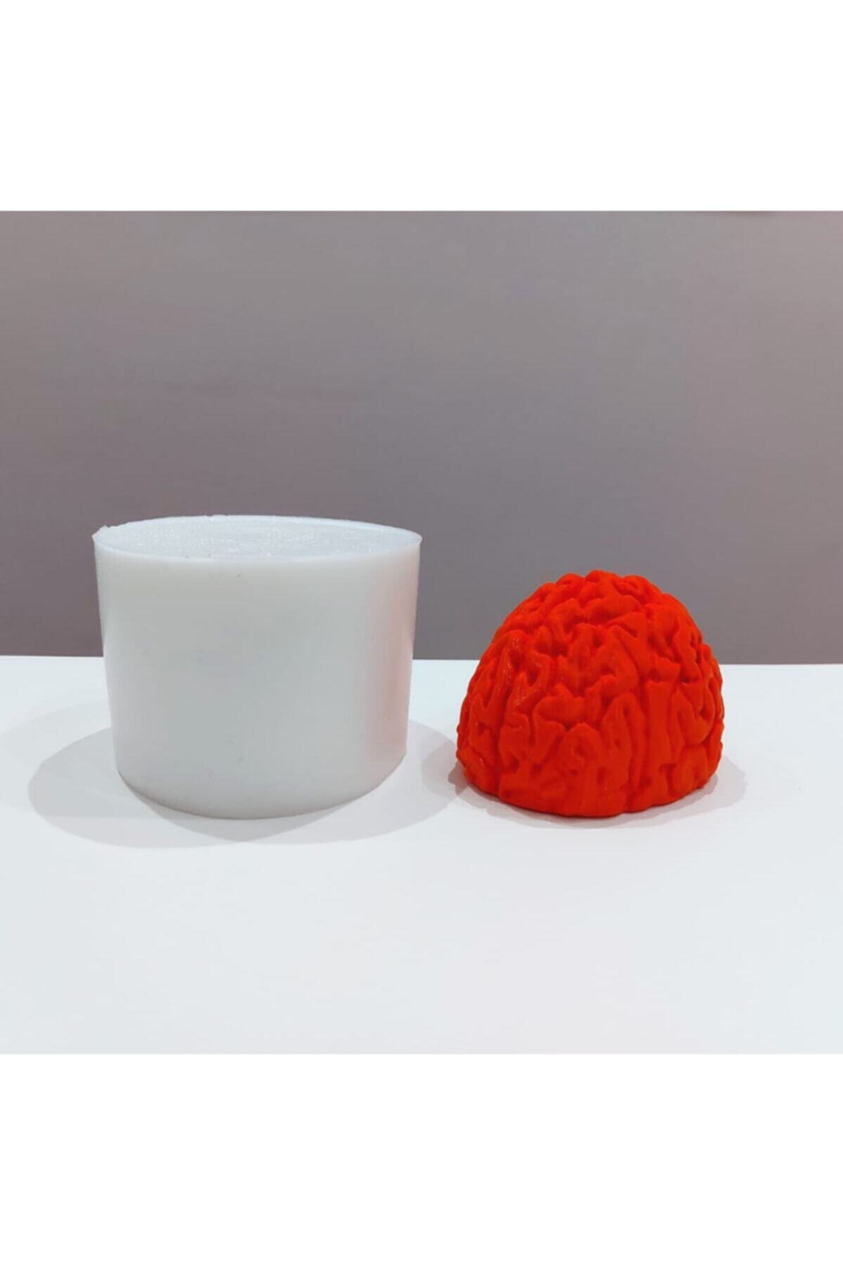 Silikonlab Beyin Mum Silikon Kalıp 10x8 cm Skb-77