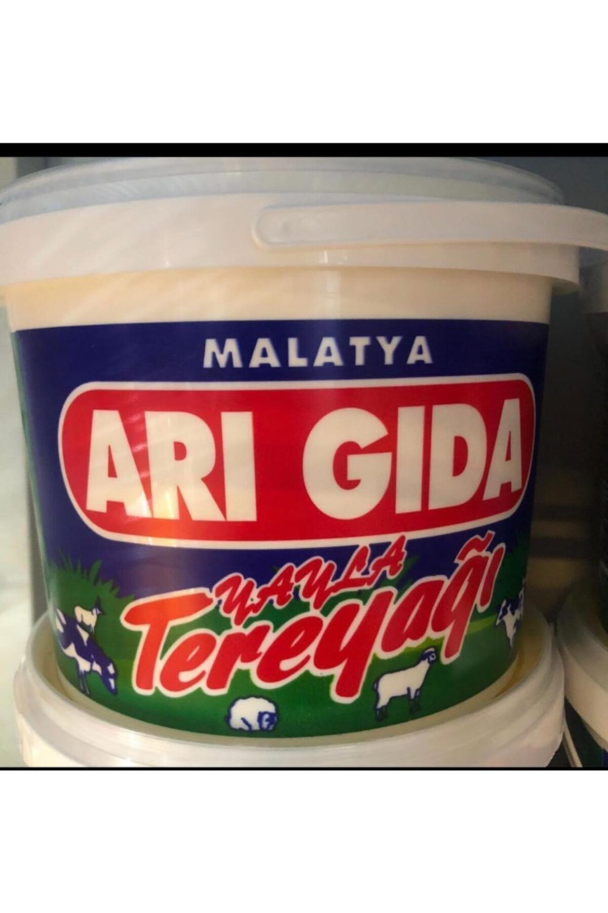 ARI GIDA Malatya Tereyağı 5 Kg Tuzlu (net 4800 Gr)
