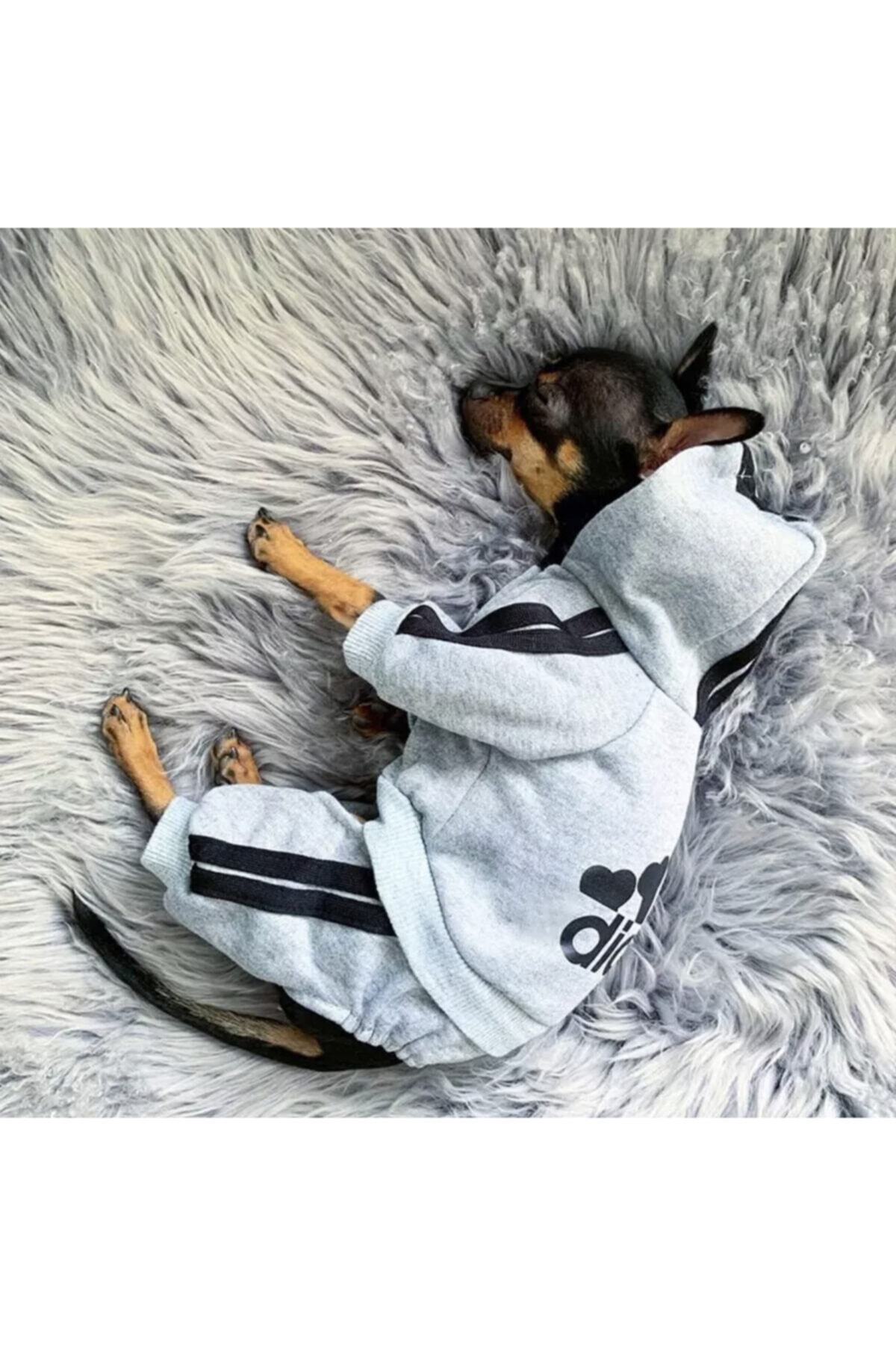JALOU MODE Kedi Köpek Tulum