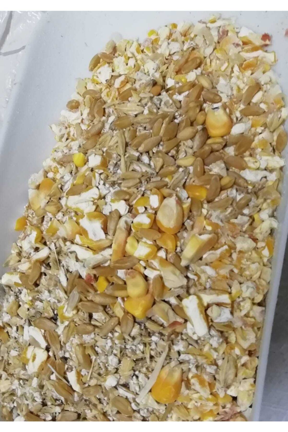 CP 15 Kg Mısır Kırığı Elenmiş Buğday Karışımlı Tavuk Yemi Kuş Güvercin Hindi Kaz Ördek Doğal Yemi