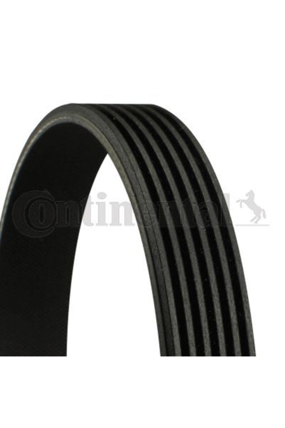 CONTİ Kanallı Kayış Cmax-focus Iı 04=  1.4-1.6 Ti-volvo C30-s40-v50