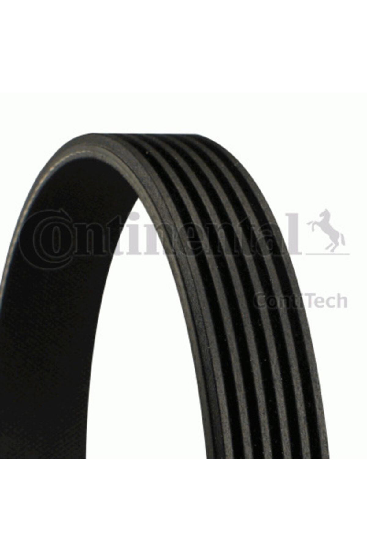 Continental V Kayışı Partner 1.6 Hdı