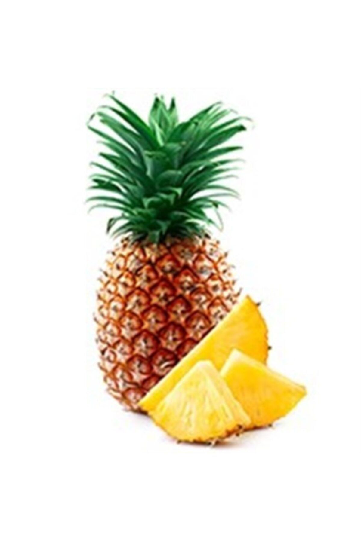 Yenir tarım ürünleri Ananas (1 ADET-PREMİUM)