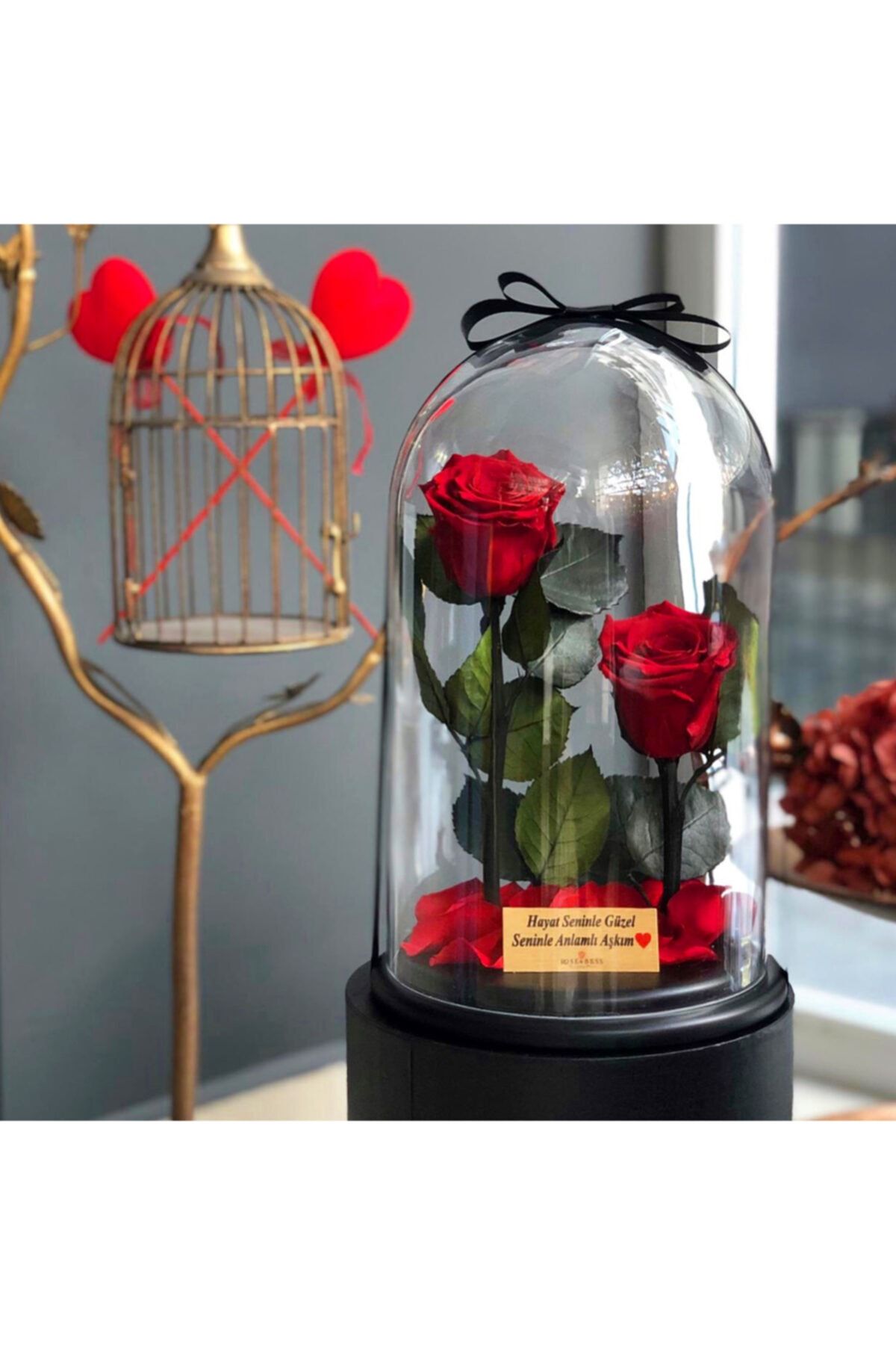 Rose and Bliss Cam Fanusta You&me Iki Dallı Kırmızı Solmayan Gül