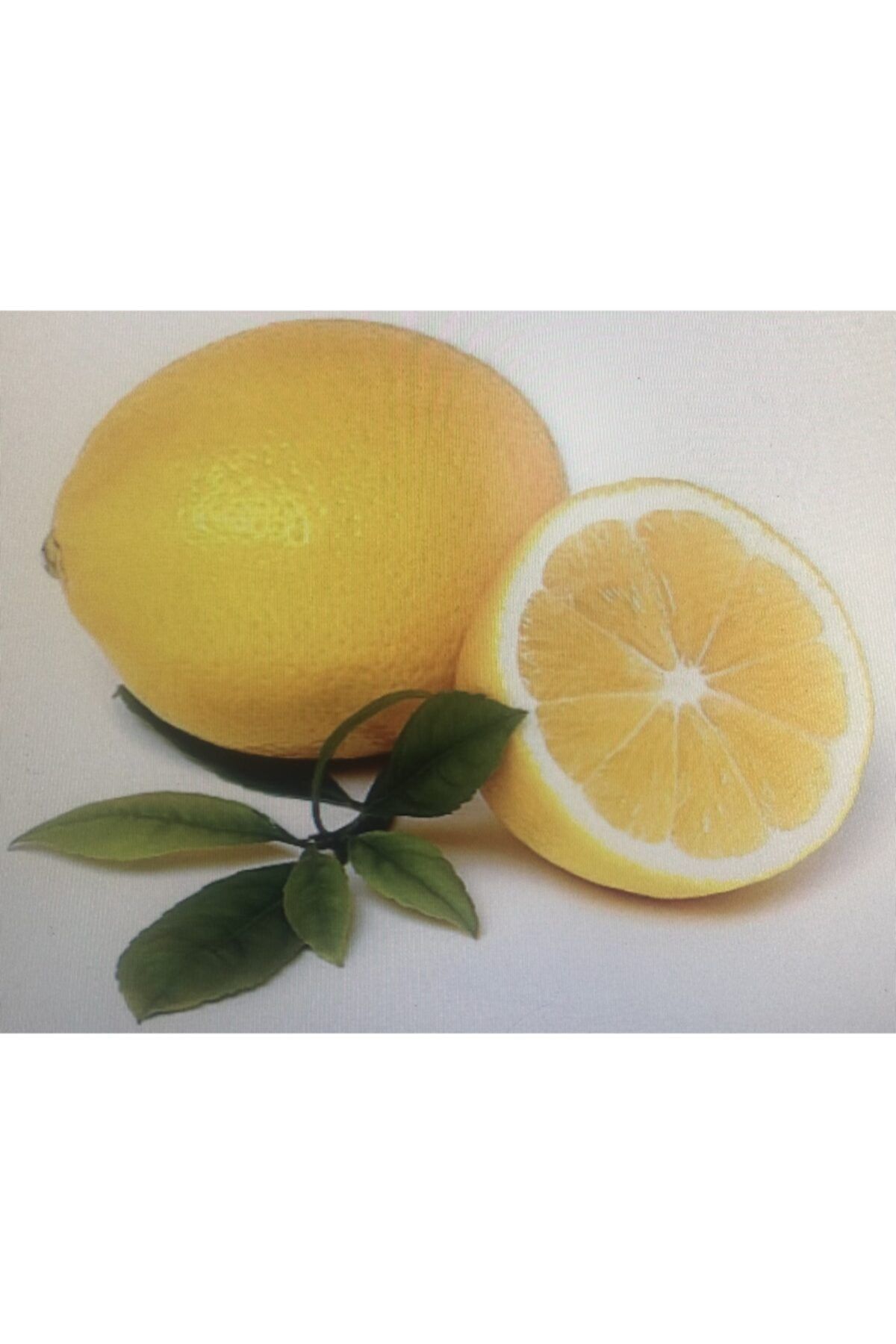 AZRA ÜNİFORMA Taze Limon ( Kara Limon ) Min. 15 Kılogram
